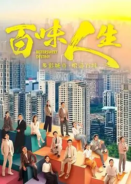 少妇影院悬疑情感剧《镜中她》封面
